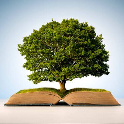 istockphoto-1323017818-612×612